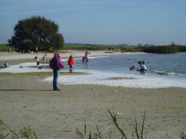 Gaasthoeke Holiday home *